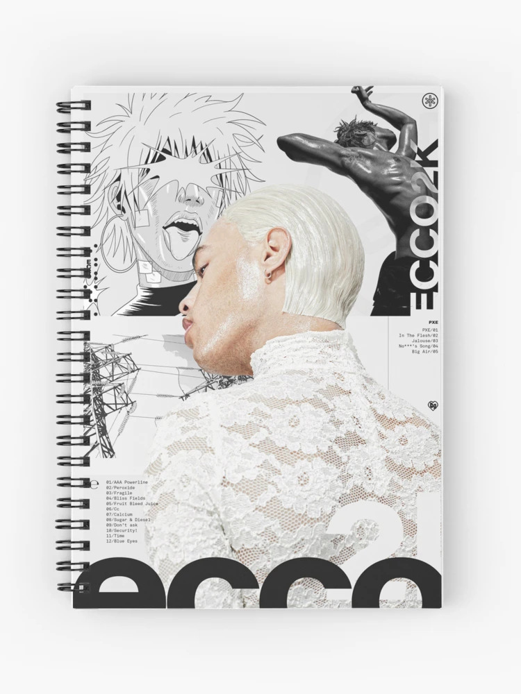 ecco2k poster Drain Gang