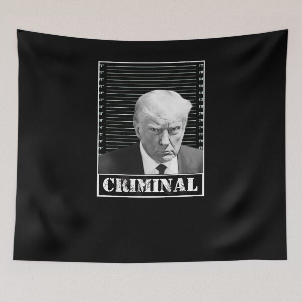 Aperçu de l'œuvre Trump Mugshot Politique électorale 2024 Prison Mug Shot créée et vendue par TmoT.
