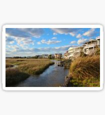 Coastal Marshes Sticker