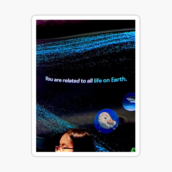 NY natural history exhibition Sticker