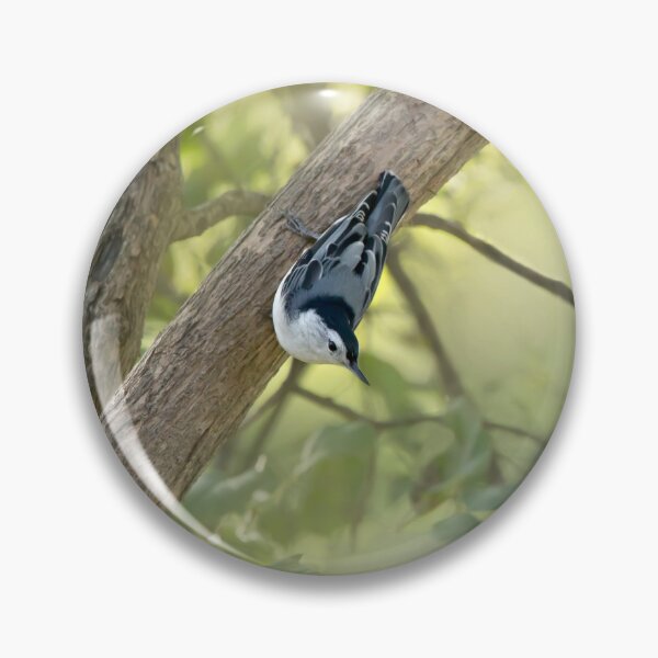 Item preview, White breasted nuthatch designed and sold by KRFNatureGifts.