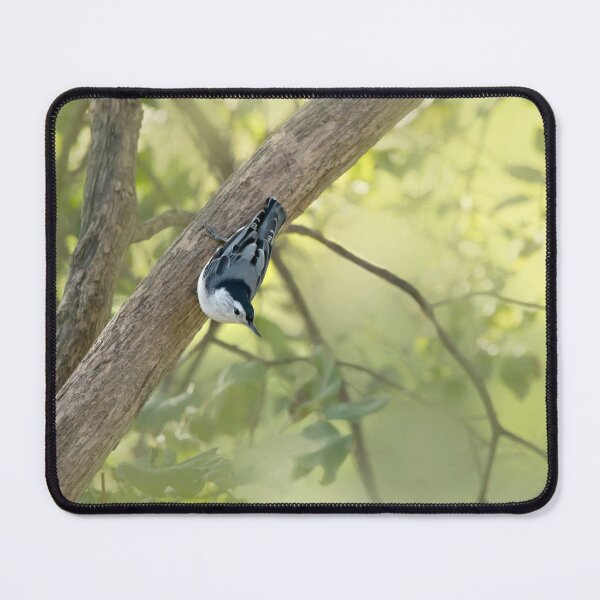 Item preview, White breasted nuthatch designed and sold by KRFNatureGifts.