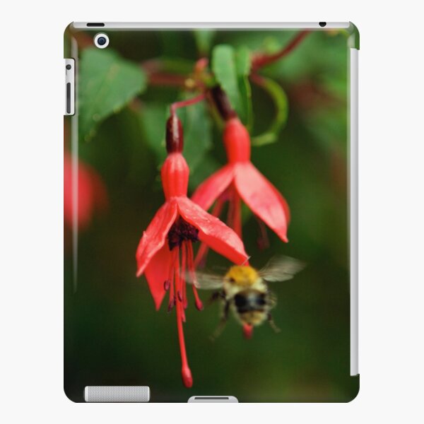Fuchsia at Loch Na Fooey (wide) iPad Snap Case