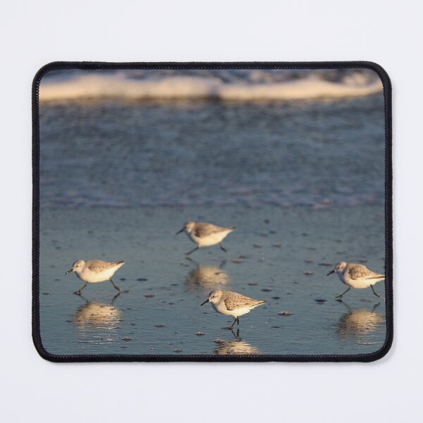 Item preview, Sandpipers at Beach designed and sold by Blue Horse Photo Magic.