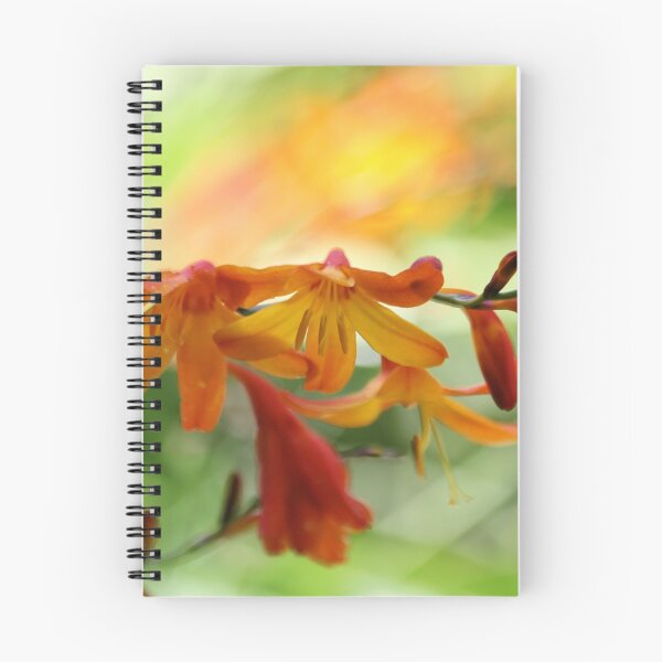 Item preview, Crocosmia designed and sold by ASTRID EWING.