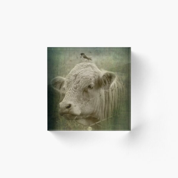 118 and his wee little mate Acrylic Block