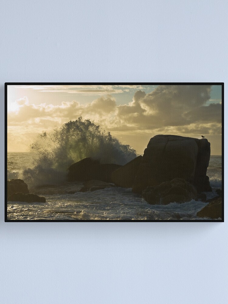 Alternate view of The Wave, the Seagul, and the Sunset - Camps Bay Cape Town Canvas Print