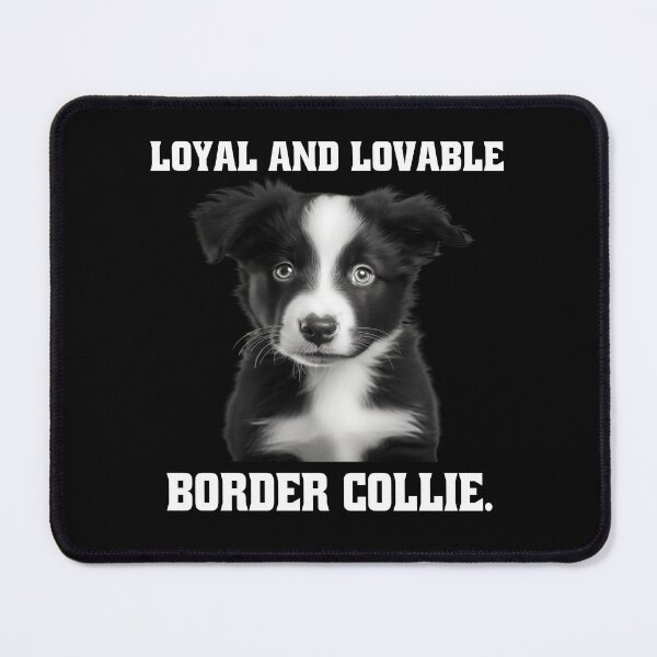 Item preview, Border Collie Dog Owner Loyal And Lovable Border Collie designed and sold by fantasticdesign.