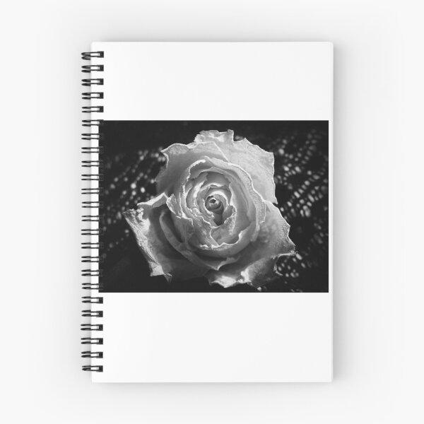Artikelvorschau, Rose und Spitze in Schwarz und Weiß entworfen und verkauft von RekaFodor.