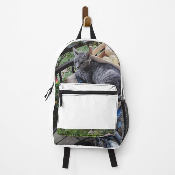 Item preview, cat and bicycle designed and sold by BS-animals.