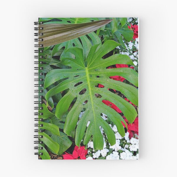 Item preview, Waikiki Split Leaf designed and sold by Robert Meyers-Lussier.