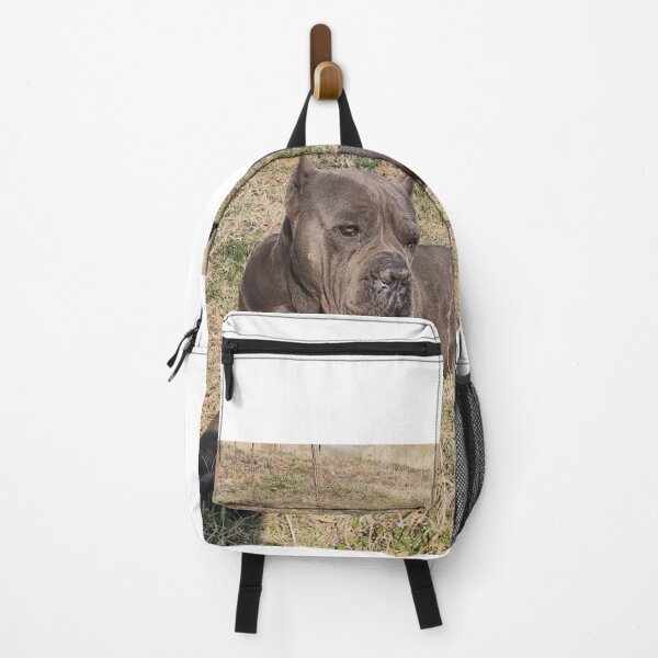 Item preview, a big gray dog enjoying the sun designed and sold by BS-animals.