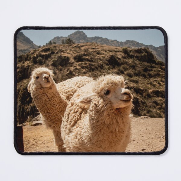 Item preview, alpacas designed and sold by MellanieLS.