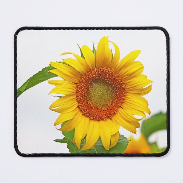 Item preview, Simply A Sunflower designed and sold by Deb Oppermann.