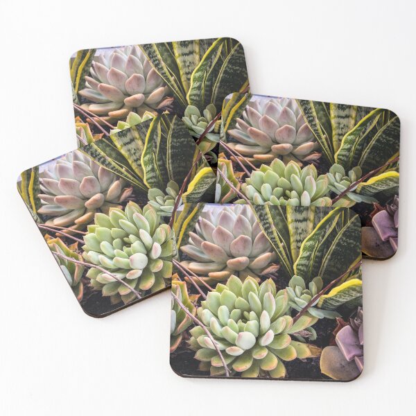 Item preview, Succulent Planter designed and sold by Douglas E. Welch Design and Photography.