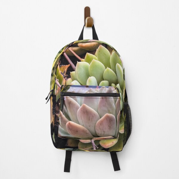 Item preview, Succulent Planter designed and sold by Douglas E. Welch Design and Photography.