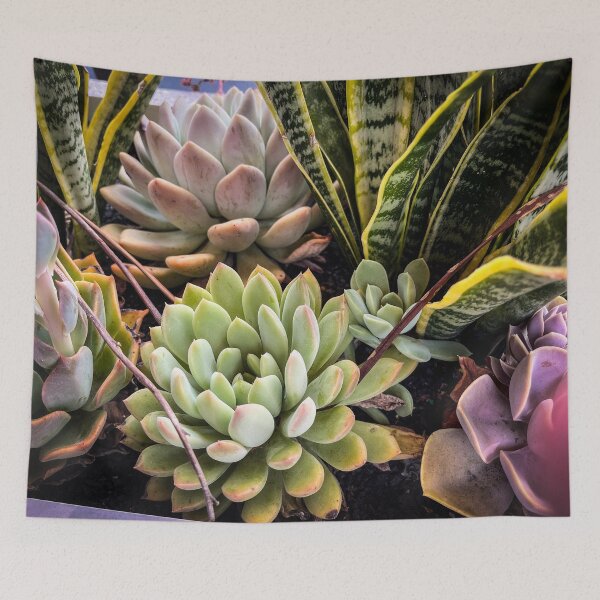 Item preview, Succulent Planter designed and sold by Douglas E. Welch Design and Photography.