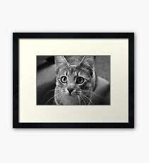 Lily Framed Print