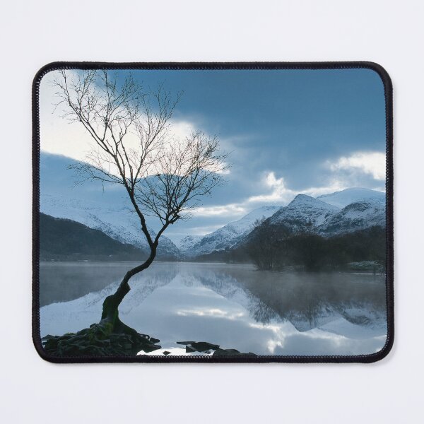 Item preview, Cold winter at the Loney Tree designed and sold by TheoPhotoraphy.