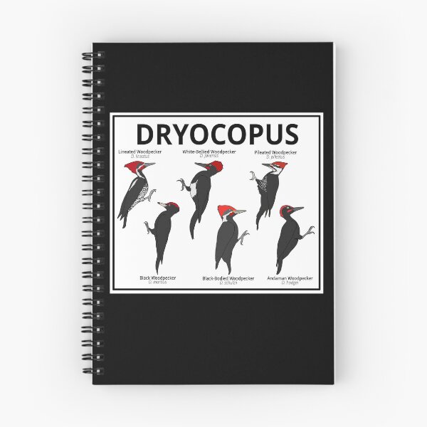 Item preview, Dryocopus Woodpeckers designed and sold by taylorrowan.