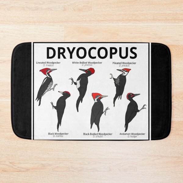 Item preview, Dryocopus Woodpeckers designed and sold by taylorrowan.