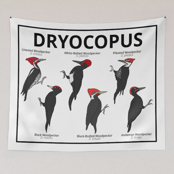 Item preview, Dryocopus Woodpeckers designed and sold by taylorrowan.
