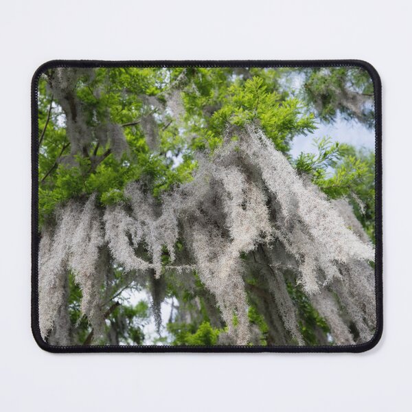 Item preview, Breeze in the Spanish Moss designed and sold by elisewied.