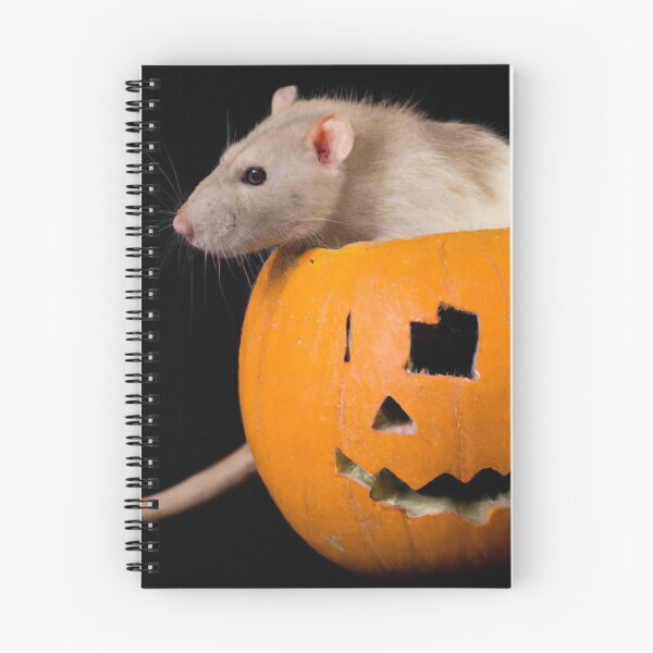 Item preview, Rat in a pumpkin designed and sold by mindgoop.