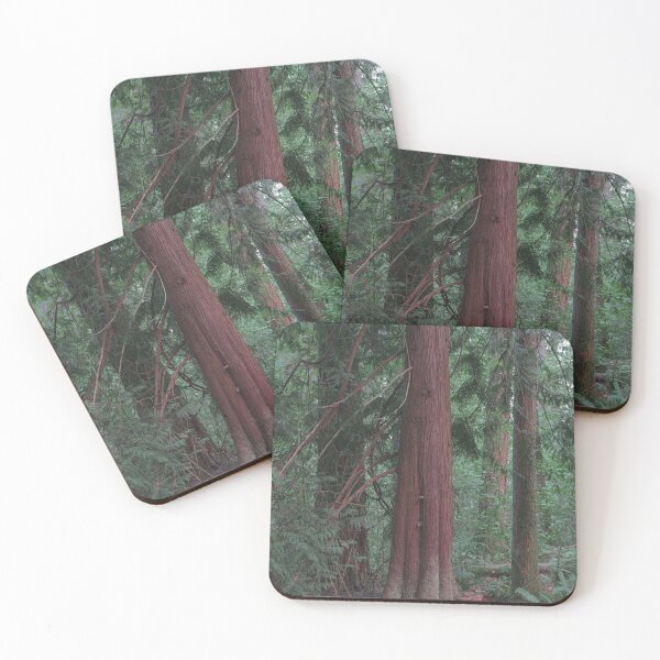 Item preview, Red Cedar Tree designed and sold by Gavin Orsetti.