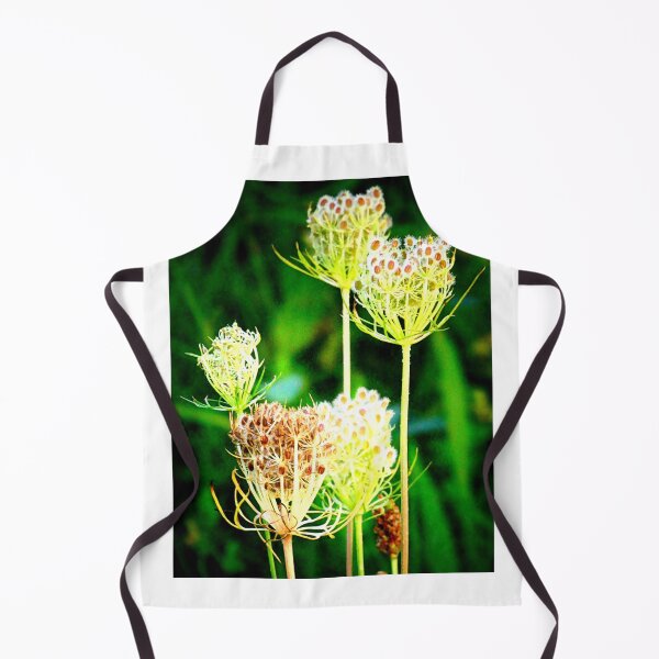 Item preview, Seedheads of wild carrot designed and sold by angel1.