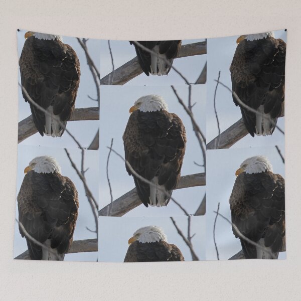 Item preview, Bald Eagle designed and sold by Katagram.
