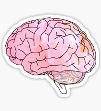 watercolor brain Sticker