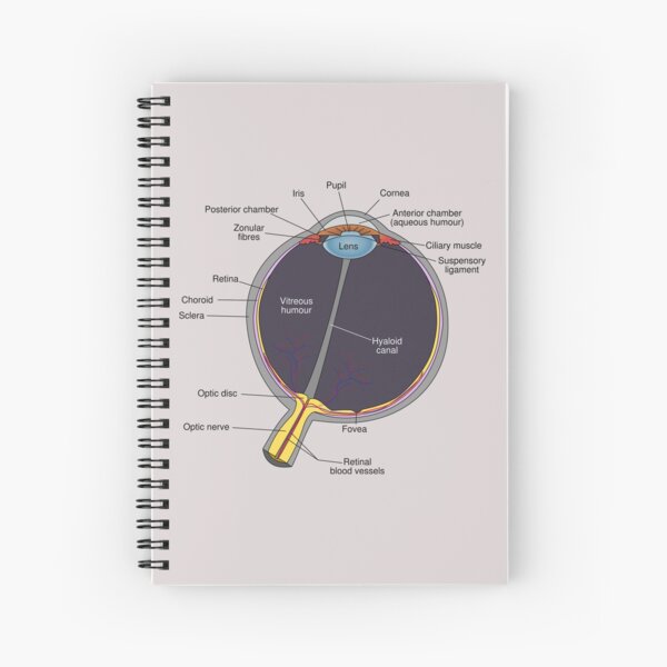 The Eye Has It Spiral Notebook
