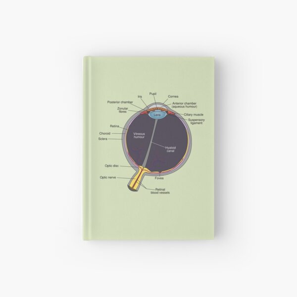The Eye Has It Hardcover Journal