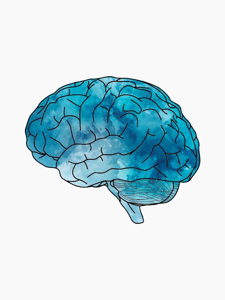 watercolor brain by clairekeanna