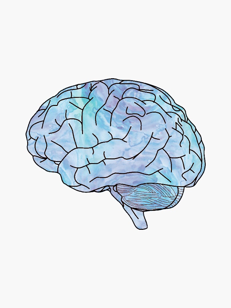 "watercolor brain" Sticker for Sale by clairekeanna | Redbubble