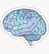 watercolor brain Sticker
