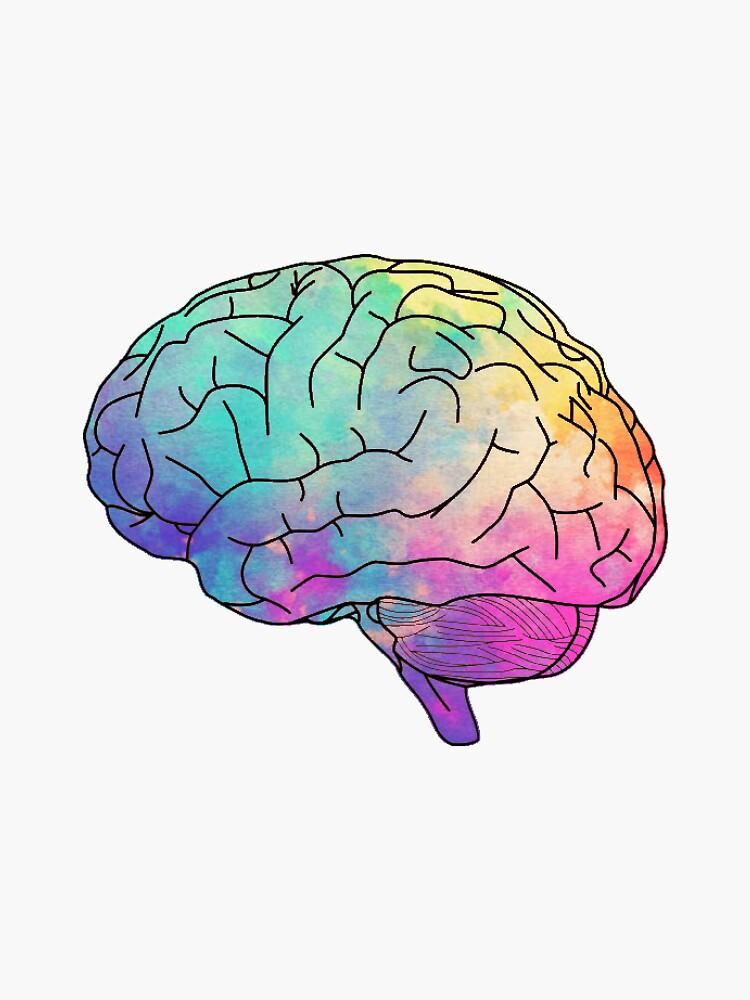 "watercolor brain" Sticker by clairekeanna | Redbubble