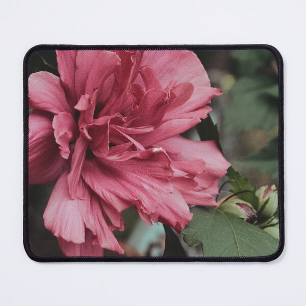 Item preview, Rosy designed and sold by Katie Sharp.