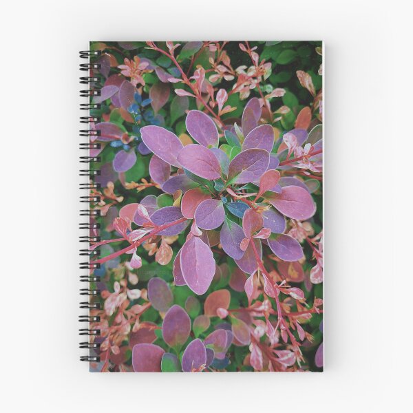 Item preview, Layers of Barberry designed and sold by Katie Sharp.