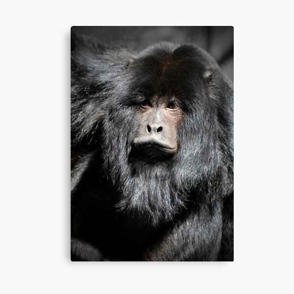 Male Black Howler Monkey (Alouatta caraya) Mask for Sale by Yair