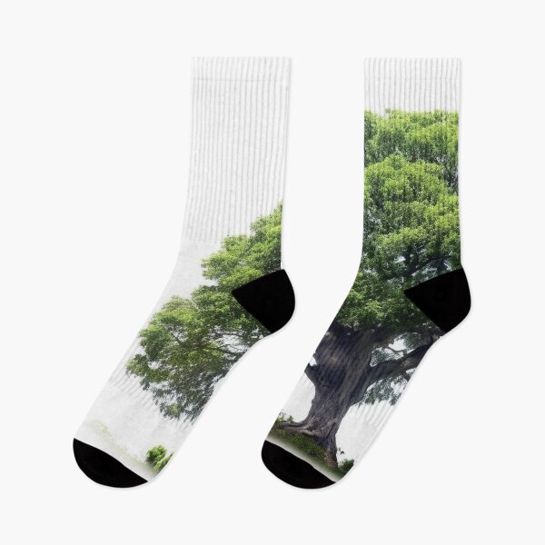 Item preview, Planta joven Árbol Hojas Naturaleza designed and sold by Aestheticlanart.