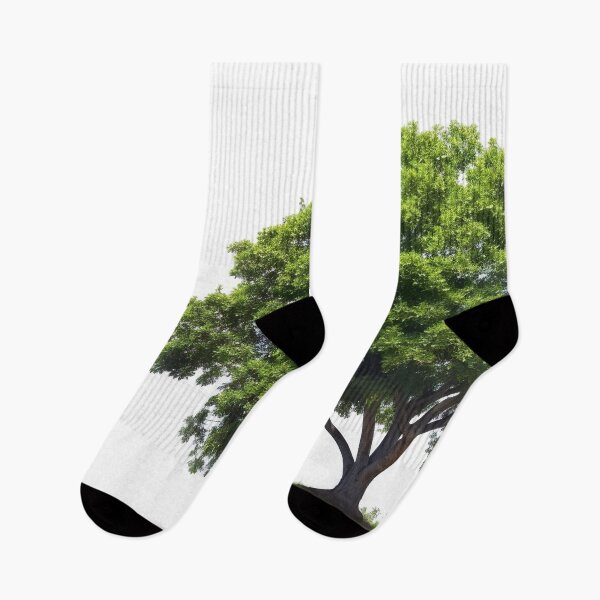 Item preview, Planta joven árboles naturaleza primavera designed and sold by Aestheticlanart.