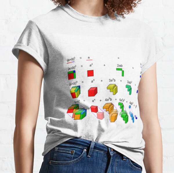 Visualization of binomial expansion up to the 4th power, binomial theorem Classic T-Shirt