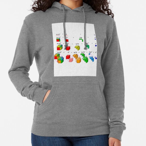 Visualization of binomial expansion up to the 4th power, binomial theorem Lightweight Hoodie