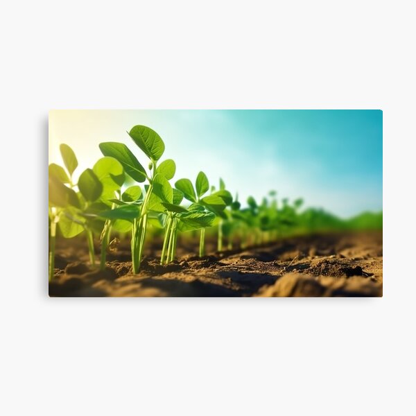 Item preview, Soybean Farm designed and sold by Aestheticlanart.