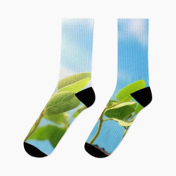 Item preview, Soybeans Farm Field designed and sold by Aestheticlanart.