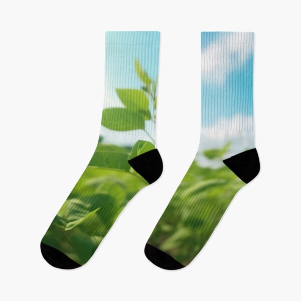 Item preview, Soybean Agriculture designed and sold by Aestheticlanart.