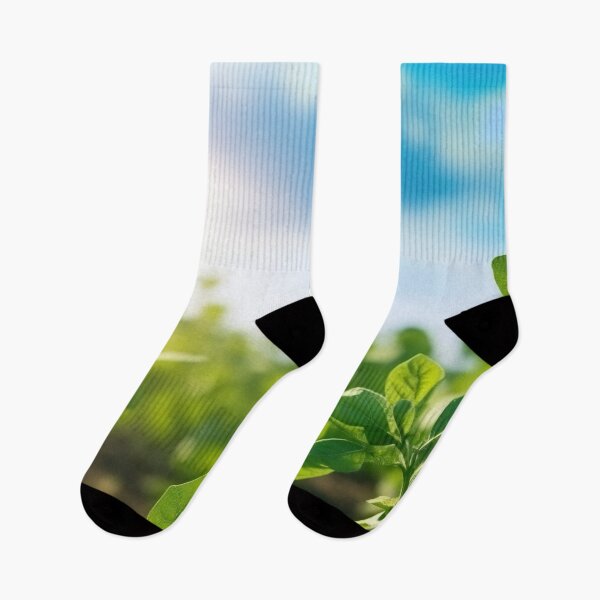 Item preview, Soybeans Food Farm designed and sold by Aestheticlanart.