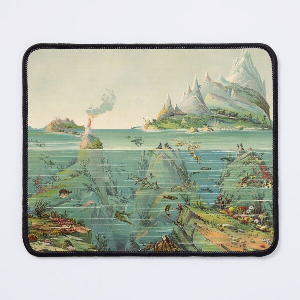 Item preview, Undersea Ocean Life, Vintage Print, 1893, Marine Animals designed and sold by ScienceSource.